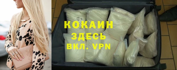 кокс Вяземский