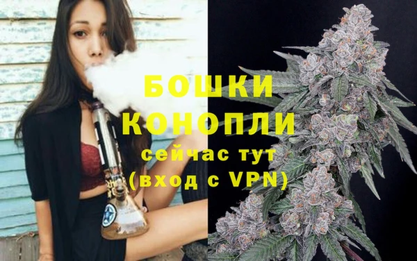 кокс Вяземский