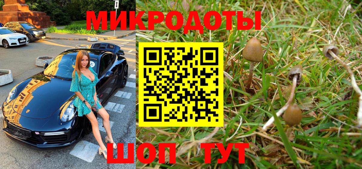 Галлюциногенные грибы Cubensis  Псилоцибиновые грибы мухоморы  Муром  Вход с VPN 