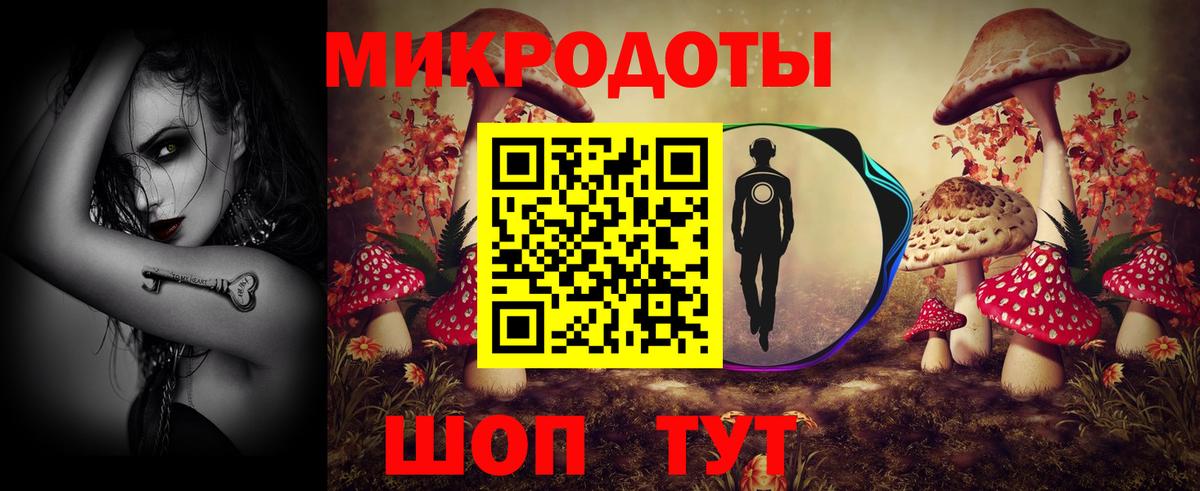 Галлюциногенные грибы Cubensis Муром