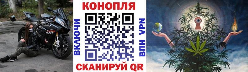 Канабис сатива  hydra   Муром 